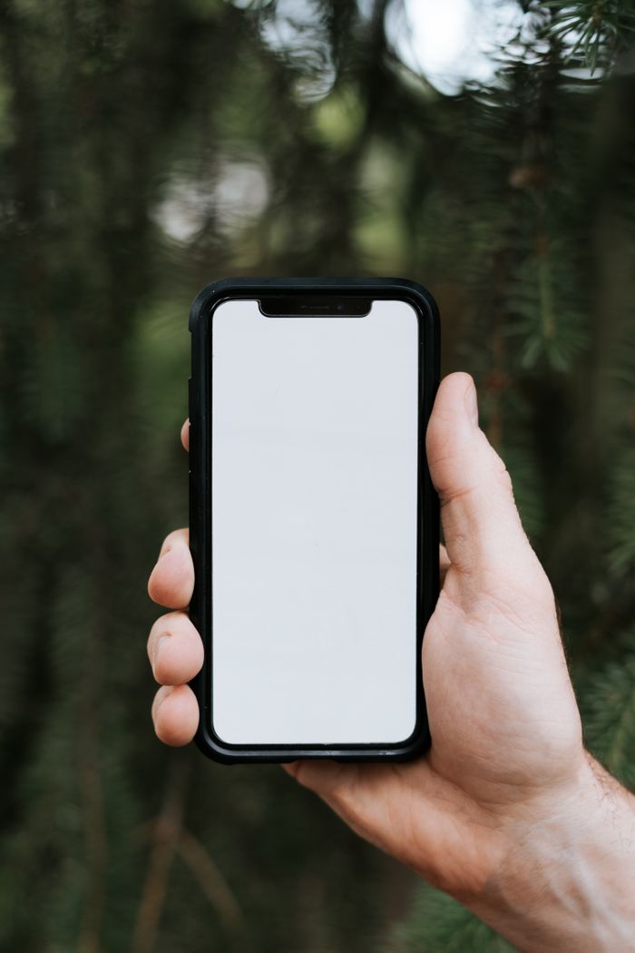 journey An outdoor shot of a hand holding a smartphone with a blank screen for mockup purposes.